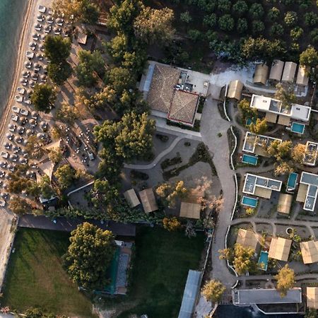 Ergon Beach House Nikiti Exteriör bild