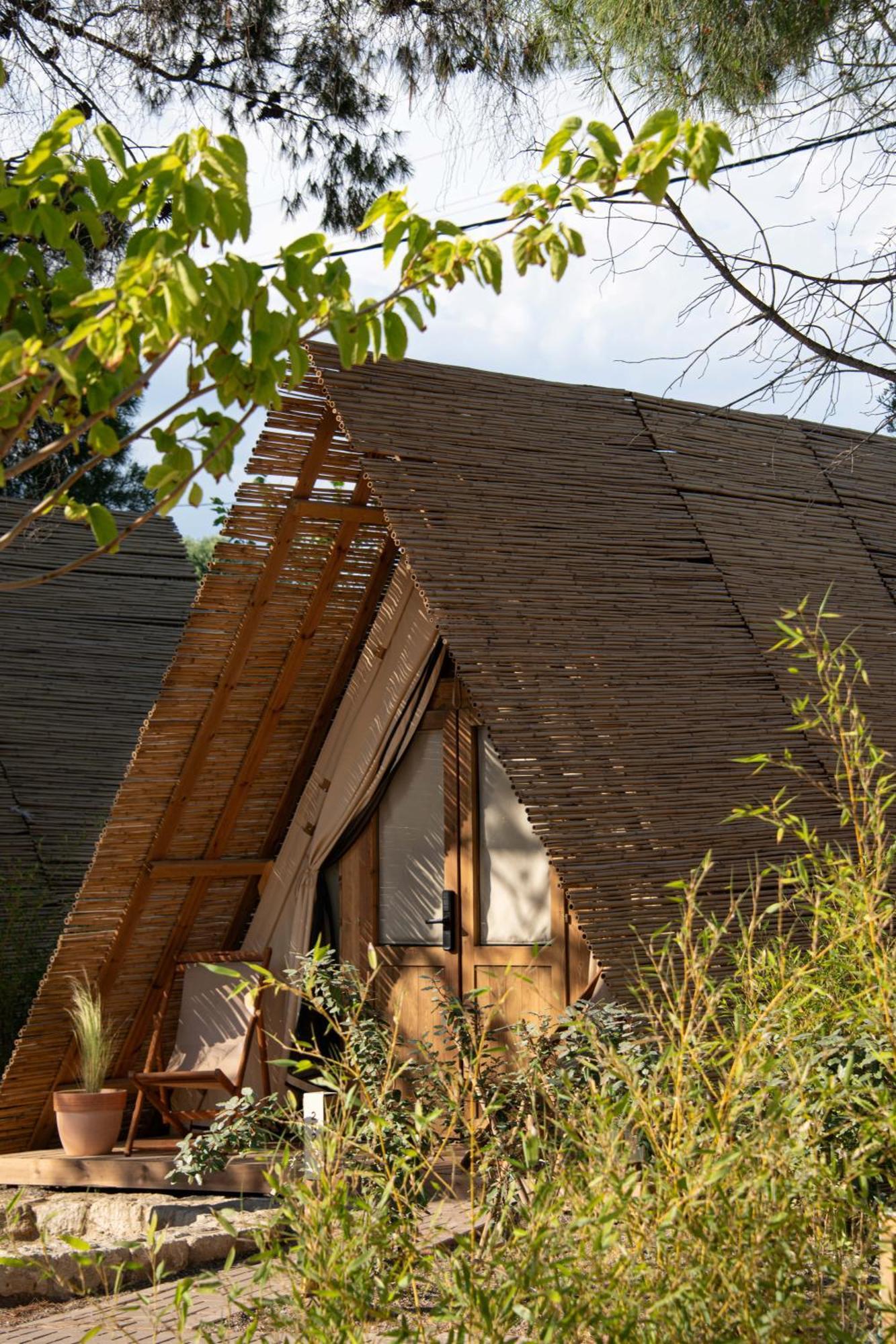 Ergon Beach House Nikiti Exteriör bild