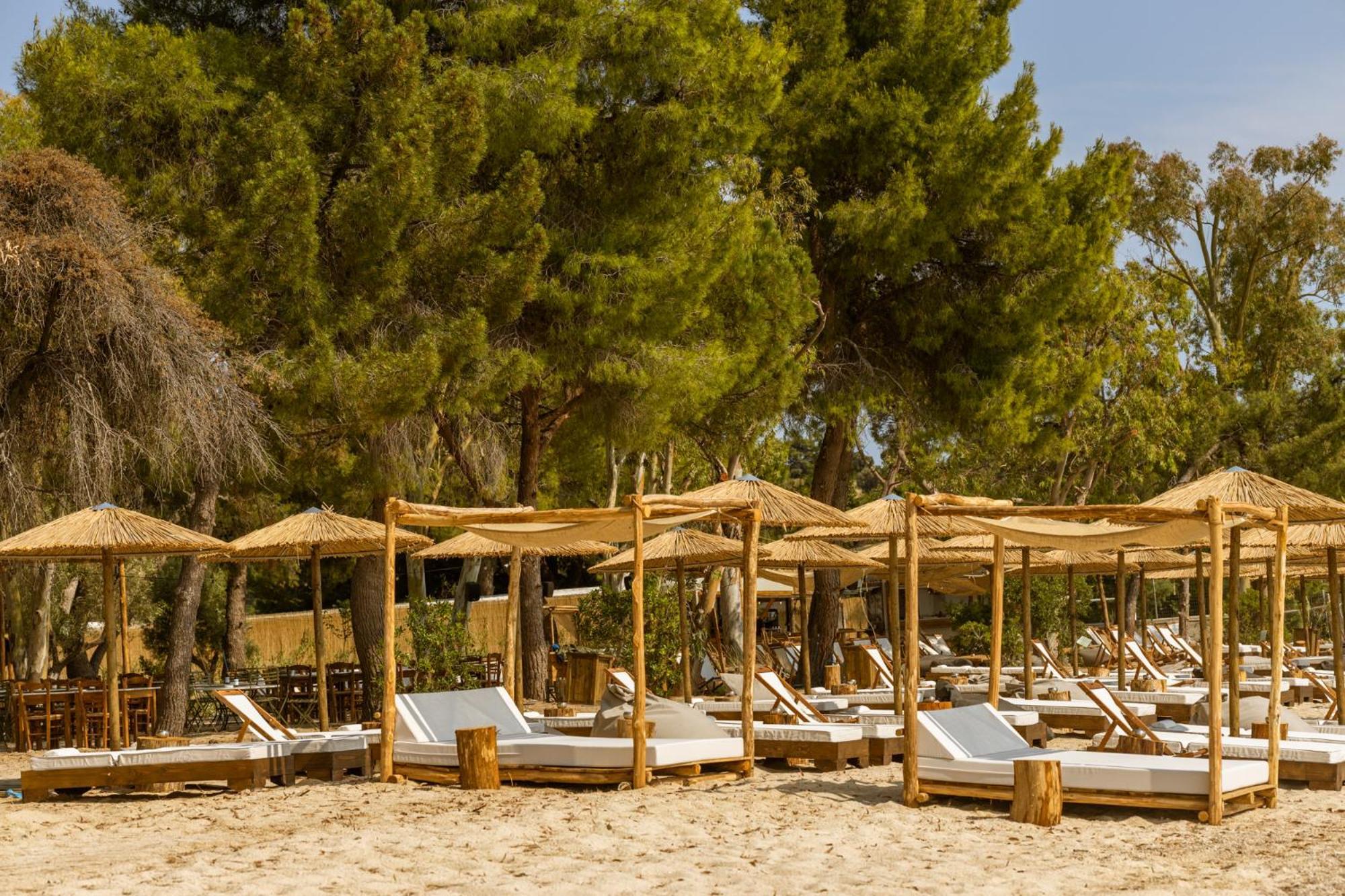 Ergon Beach House Nikiti Exteriör bild